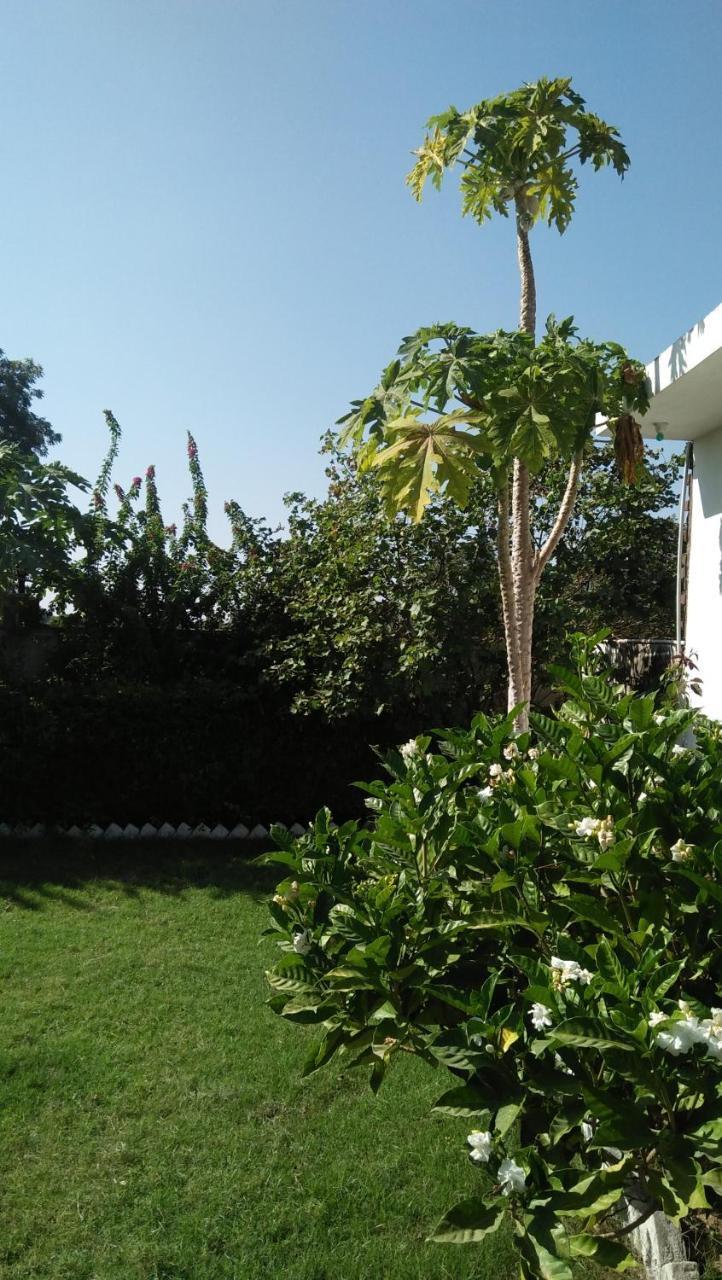 Prem Home Stay Кхаджурахо Экстерьер фото